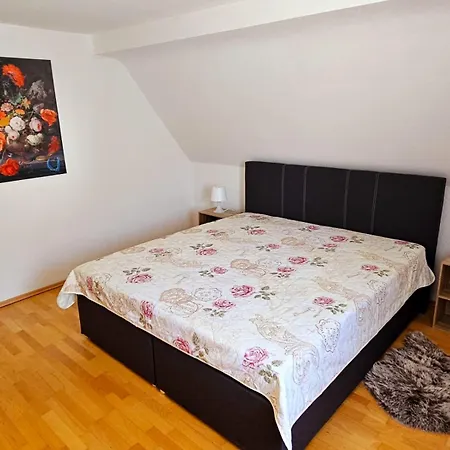 Ferienhaus-drachenfels-busenberg Apartment *